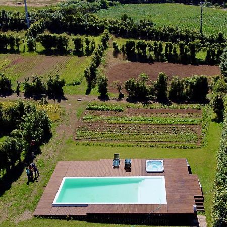 Quinta Dos Sabores Farm Houses Ribeira Grande Extérieur photo